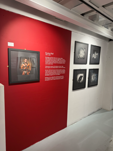 Icons of Desire - Galerie de Schans © RoB Gallery Erwin Olaf - Icons of Desire